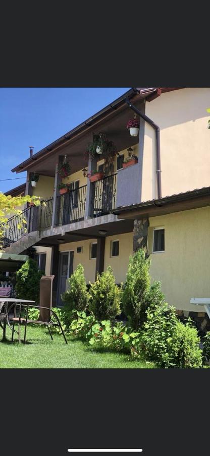 Vila Vlad Două Mai Exterior foto